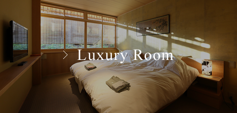 Luxury Room